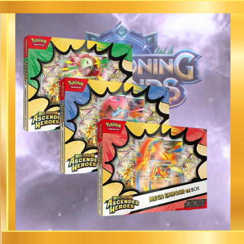 Ascended Heroes Mega ex Box